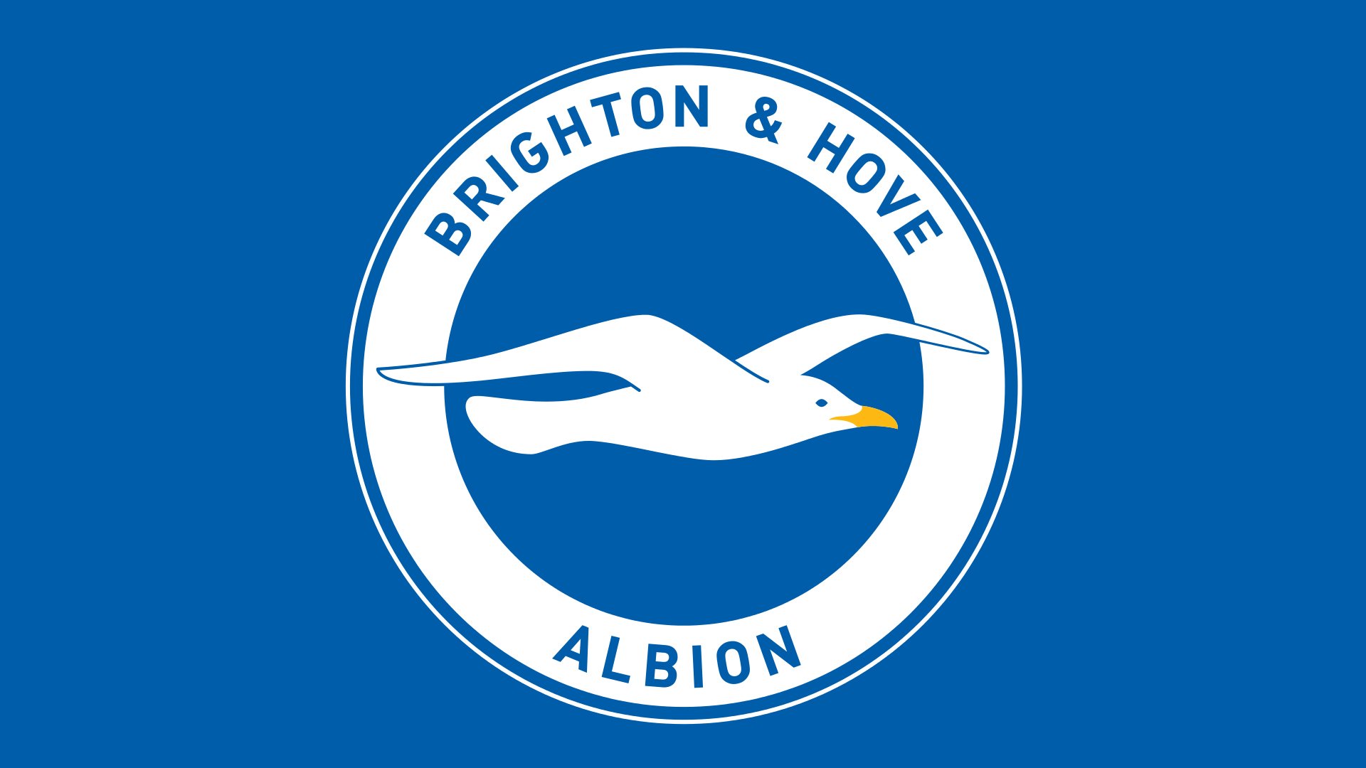 Brighton beat Southampton @ 1/4